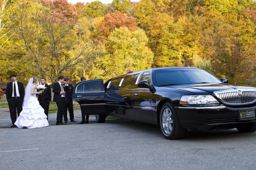 Christine Ferguson - Giese Swinconis Wedding October 22 2011 245 